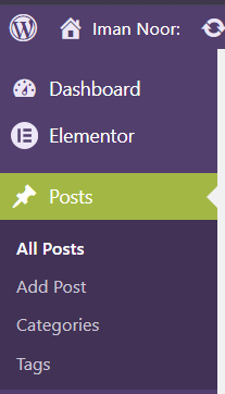 Formulari Add Category WordPress
